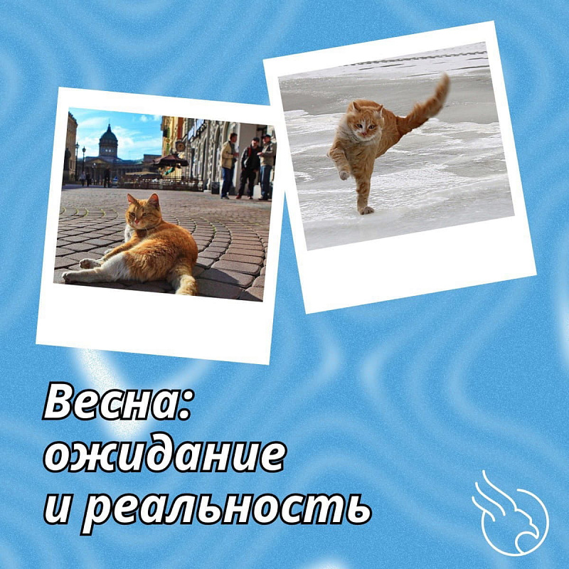 Описание изображения